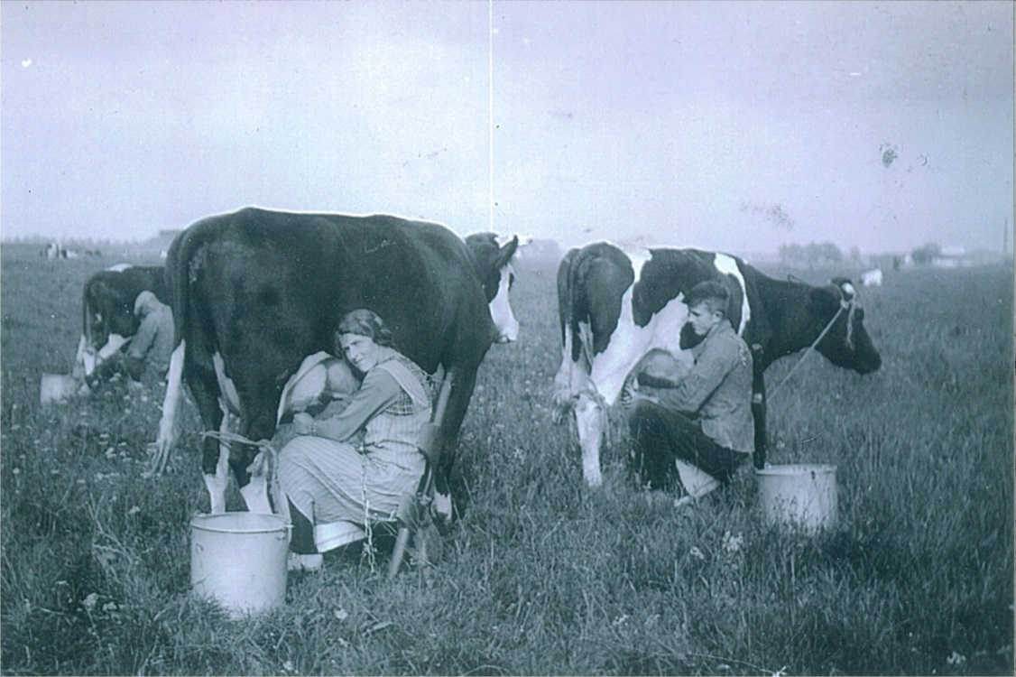 foto van voor 1939 van styntje eilander en gerrit prins uit kampen, vermoedelijk uit hun verkeringstijd, 
die elk met de hand een koe melken